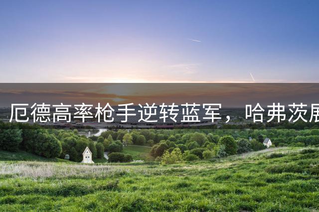 厄德高率枪手逆转蓝军，哈弗茨展现非凡创造力